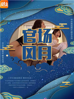 官场风月