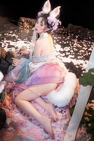 碧落鸿