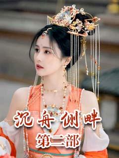 沉舟侧畔&emsp;第二部：官路风流