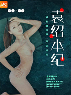 袁绍本纪