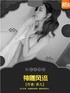 神雕游侠(神雕风流)