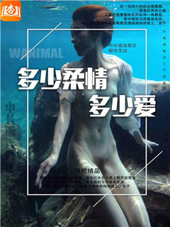 多少柔情多少爱
