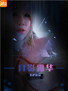 月影霜华