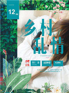乡村乱情第十二部