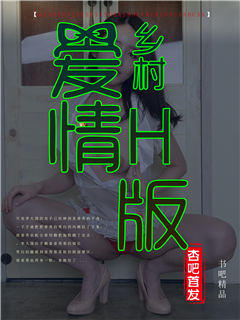 乡村爱情H版