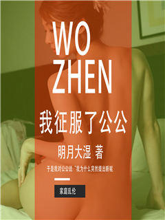 我征服了公公
