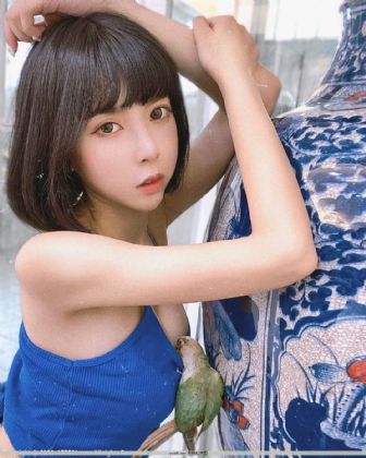 杨野的禁脔系列