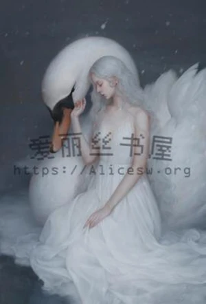 [p.o.s]轻歌之天鹅