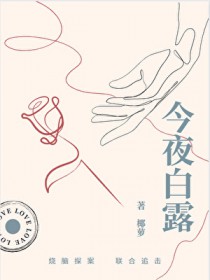 小镇谜案