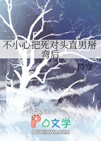不小心把死对头直男掰弯后