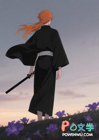 [死神白一]跌入暮色（完结）